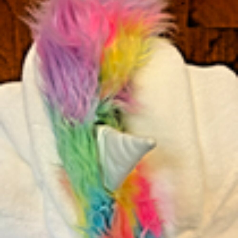 NWT SO Unicorn Hoodie White Fleece hoodie Top Jr Sz XL Rainbow Mane